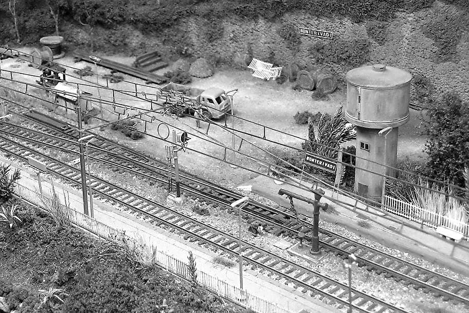 HPIM1980 - Copia.JPG