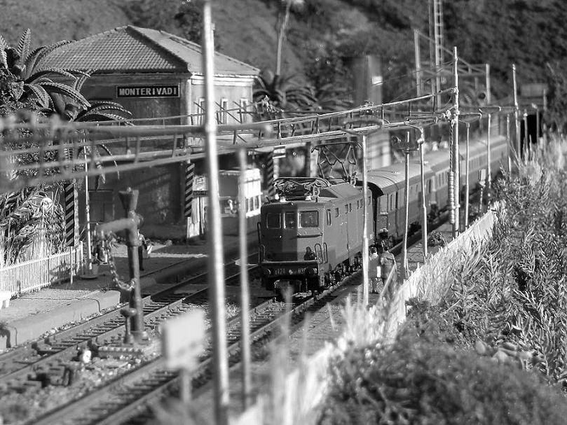 HPIM1594 - Copia.JPG