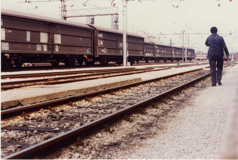 Varie_0017 DL Treviso Nazario Bobbo.jpg