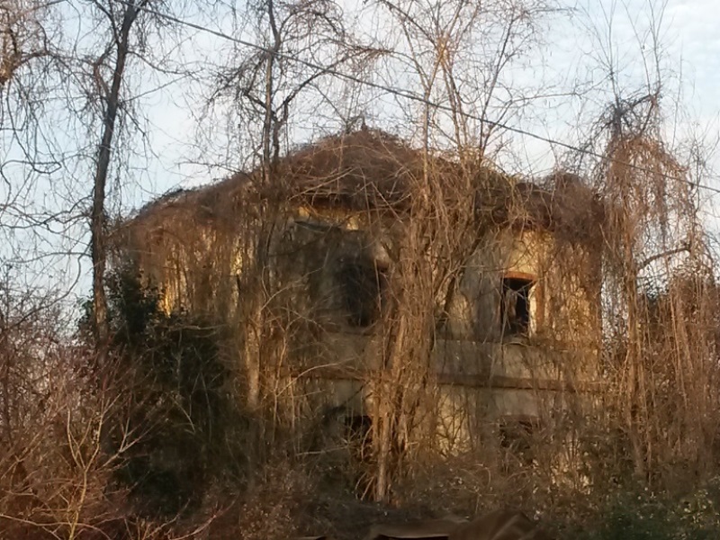 0007 fermata spercenigo 2015.01.25 andrea mozzoni.jpg