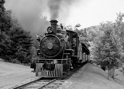 TWEETSIE1 (Copia).jpg