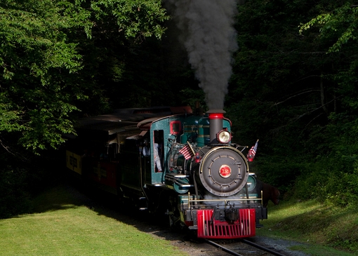 TWEETSIE3 (Copia).jpg