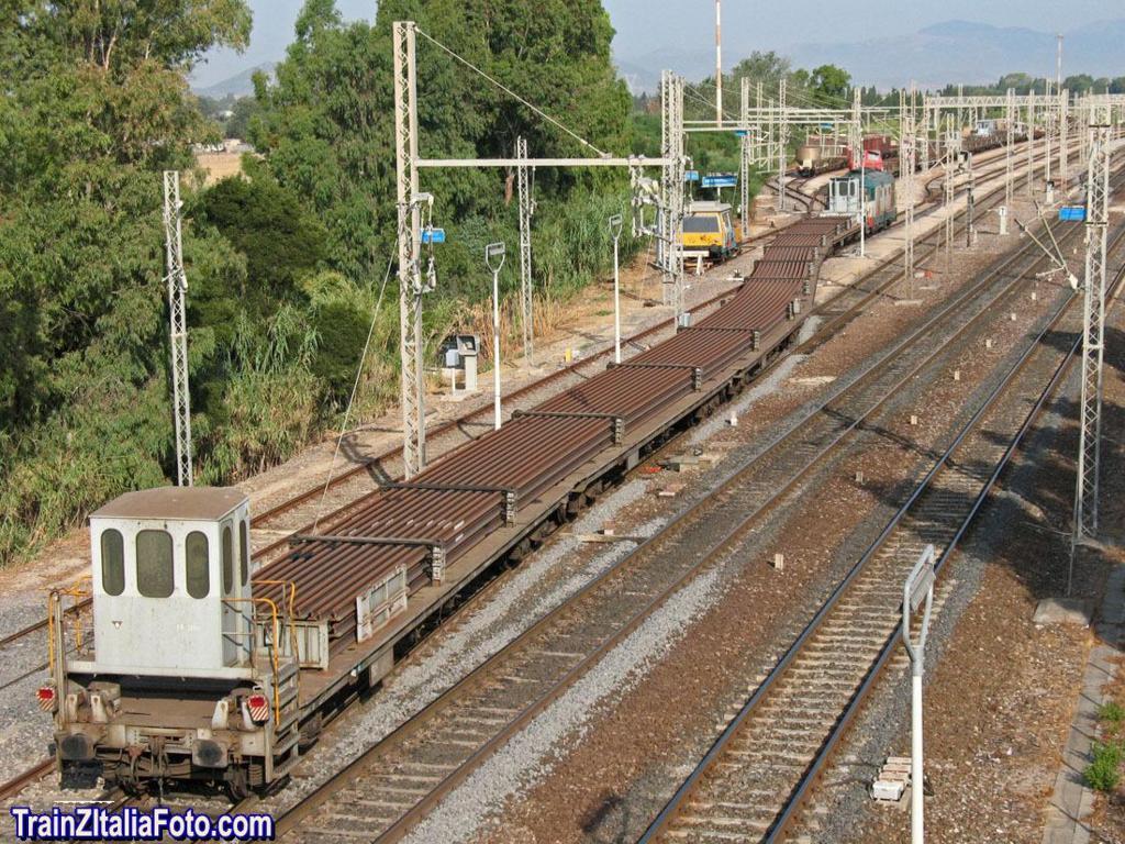 201218183927_serpeggio (FILEminimizer).JPG