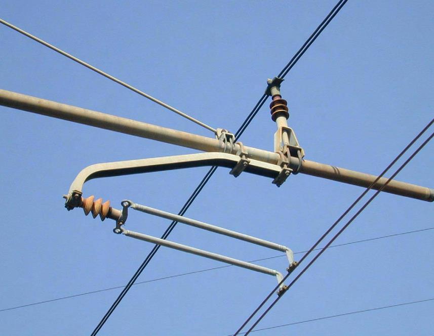 zampa di ragno  doppia2.JPG