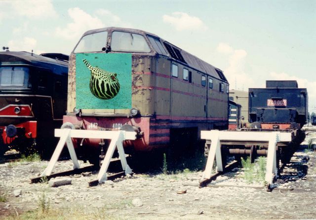 D.442 .4001.pescepallaforum2gaprile2016.archivioWbonmartini.foto WBonmartini.RiminiqualcheannoFa'.diapositiva.jpg