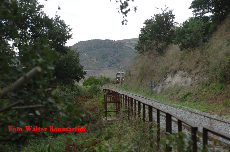 pali.. forum2G.fotoWalterBonmartini.jpg