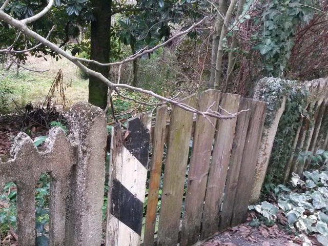 0004 Castagnole 2016 01 22 Mozzoni.jpg