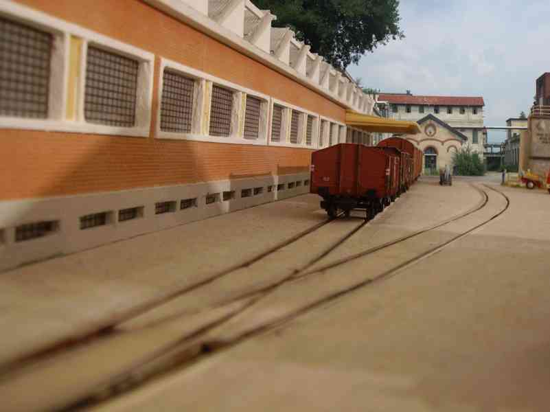 fotoconsfondo (FILEminimizer).jpg