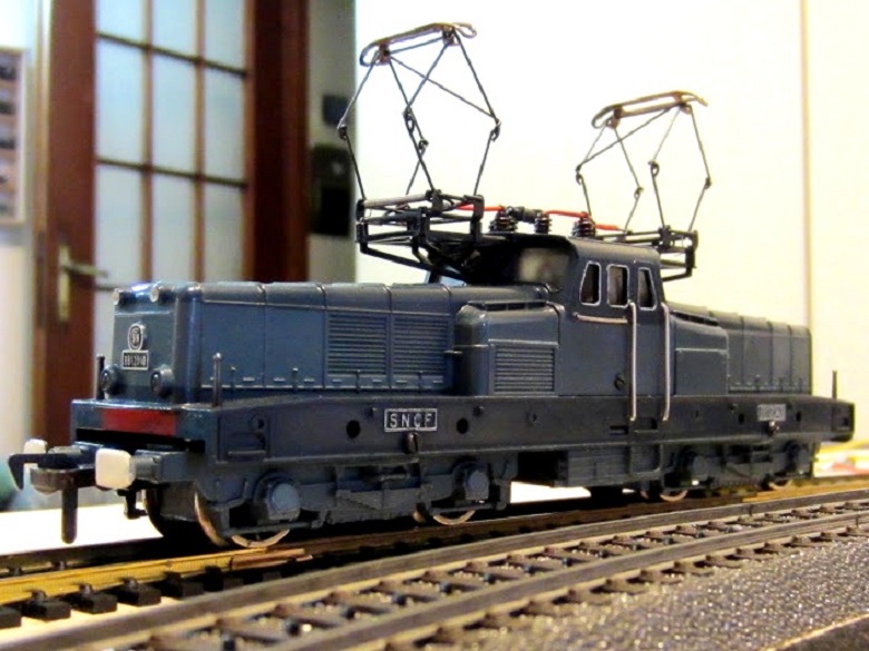 Cervo Fleischmann.JPG