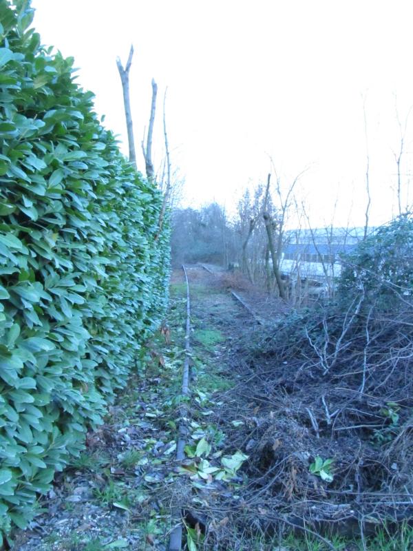 1018 Km 17 111 2014.01.21 Marklar IMG_3372.jpg