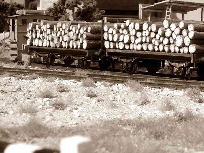 IMGP2603 bis BN (FILEminimizer).JPG