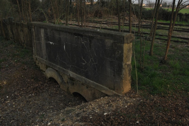 0003 2015-03-19 nervesa 3 foto Andrea Baldanello.JPG