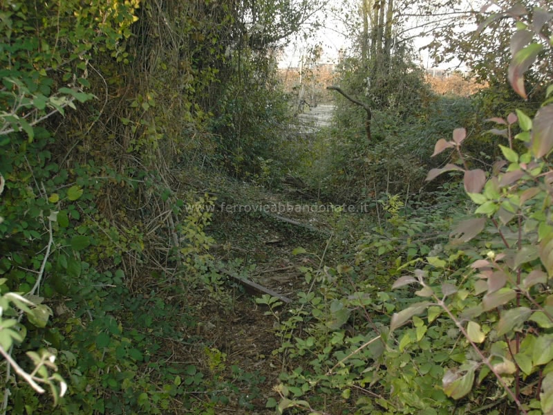 0001 F.A. (R. Spagnolli, 2011).jpg