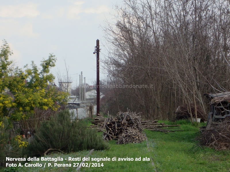 0003 F.A. (A. Carollo, P. Perana, 2014).jpg