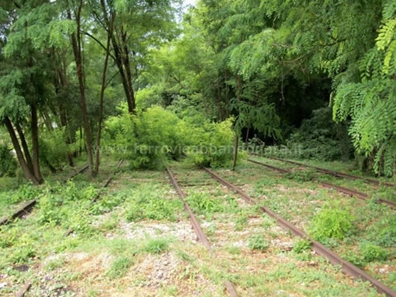 0002 F.A. Nervesa 2010 foto M. Figus.jpg