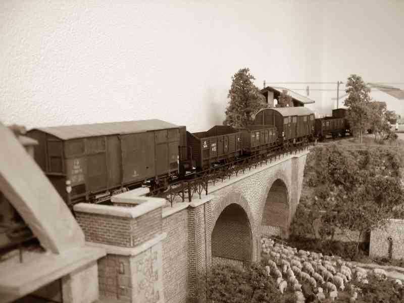 IMGP3123 bis (FILEminimizer).JPG