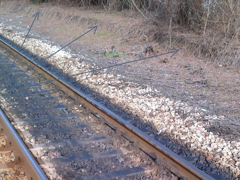 0000 IMG-20150127-00053 Mozzoni.jpg