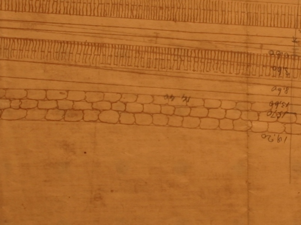 0002 IMG_7097 scambio sinistro lato treviso.JPG