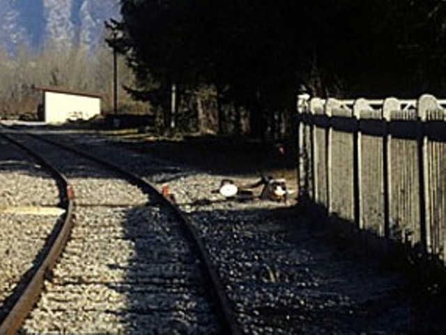 0000 ALn 448.2008 1983.11.20 alano fener cocchi.jpg