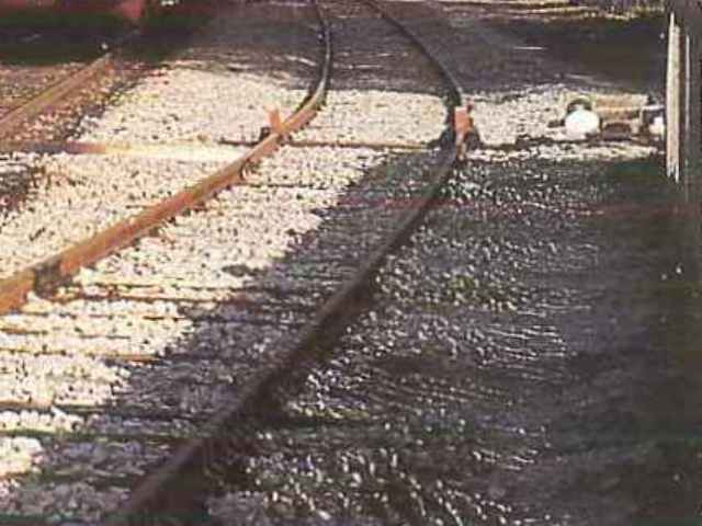 0000 ALn 448.2008 1983.11.20 alano fener rosenberger.jpg