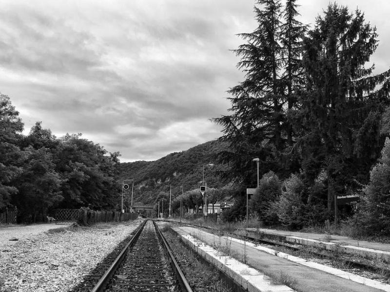 002 Alano Fener 2016.08.00 matteo mazzei (2).jpg