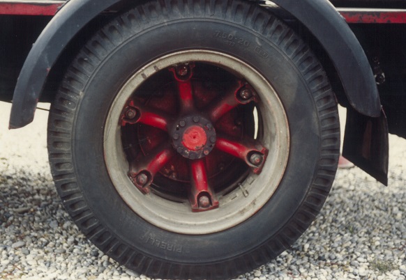 OM TIGROTTO TRILEX POSTERIORE.jpg