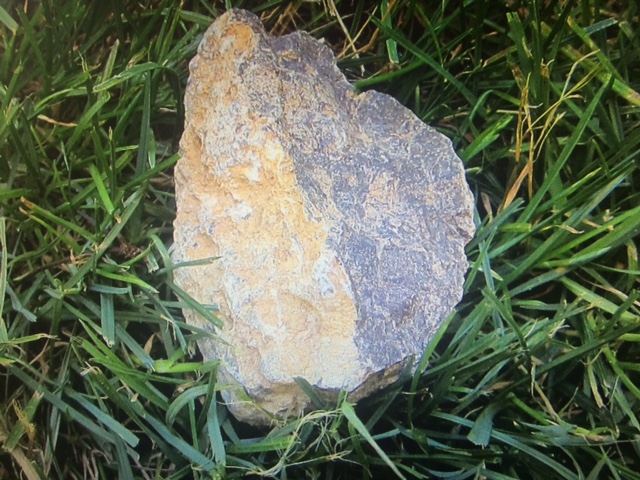 Pietra di Trieste.JPG