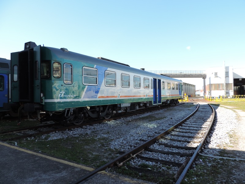 DL Treviso 2016 Massimo Franzin.JPG