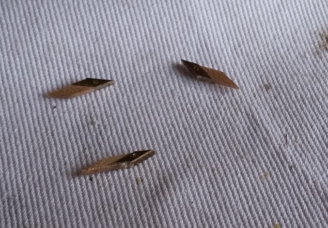 20170820_135320 - Copia.jpg