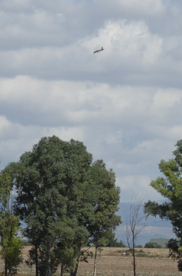 Aermacchi 119-forum2G.fotowalter bonmartini.00.jpg