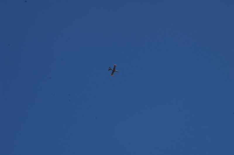 Armacchi 119 Amendola-forum2G.fotoWalterbonmartini.002.jpg