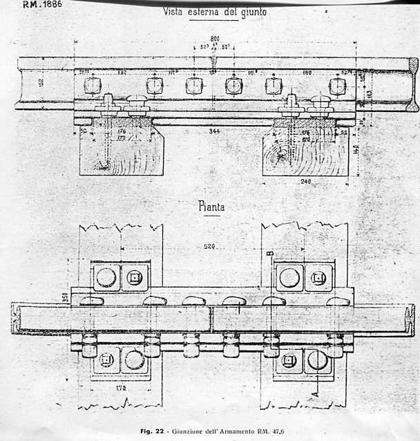 doppio fungo RM47002.jpg