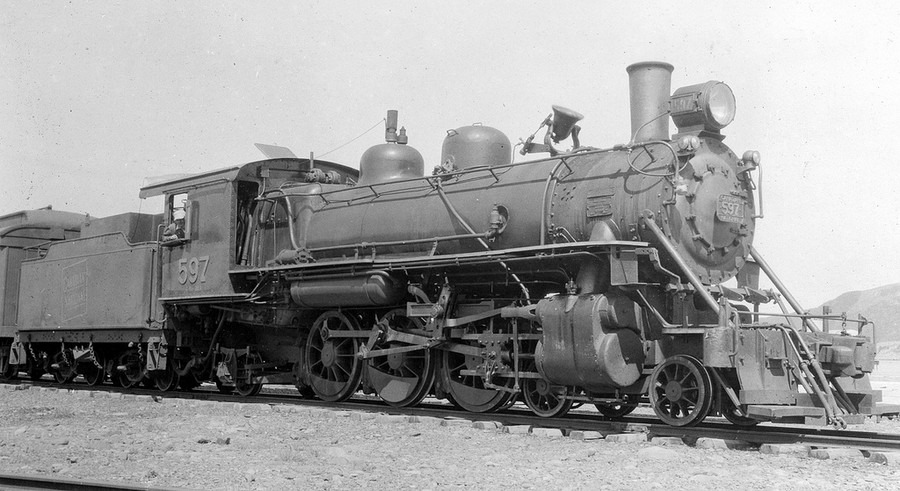 4 newfoundland (Copia).jpg