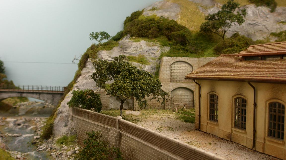 252.29 collinetta.JPG