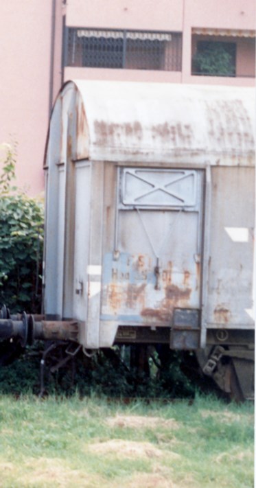 Hed Tavoni  BO S.Vitale 23 09 89.jpg