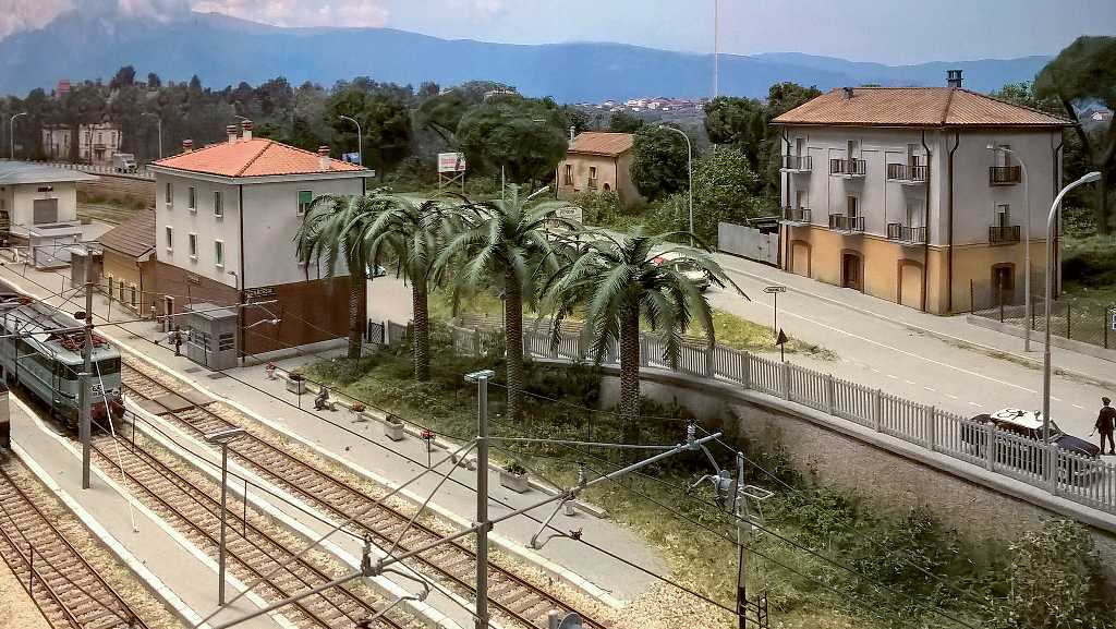 Palme a Fossacesia 2.jpg