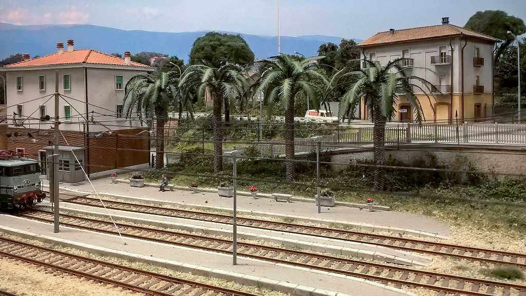 Palme a Fossacesia 3.jpg