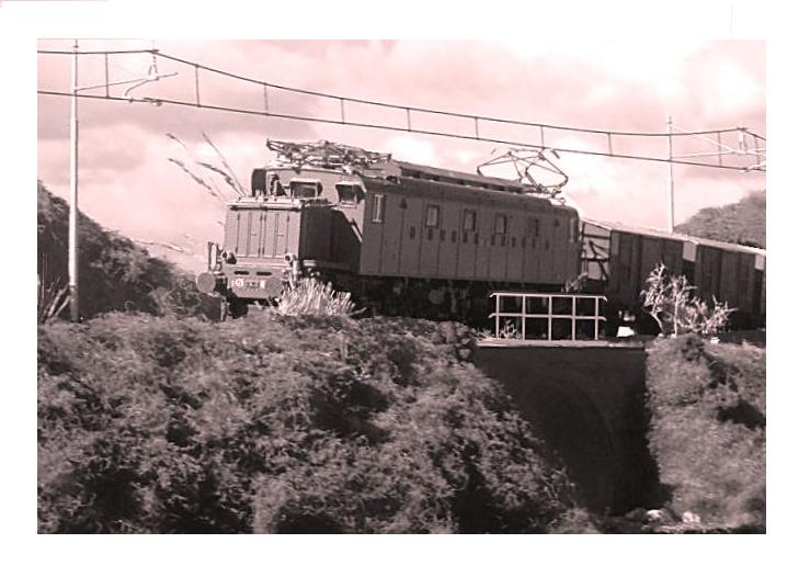 HPIM2261 - Copia.JPG