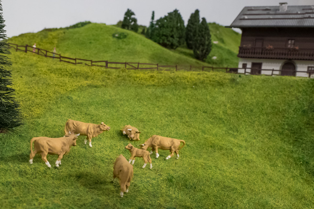 Avanzamento lavori 24-1-20 - acquisti-2.jpg