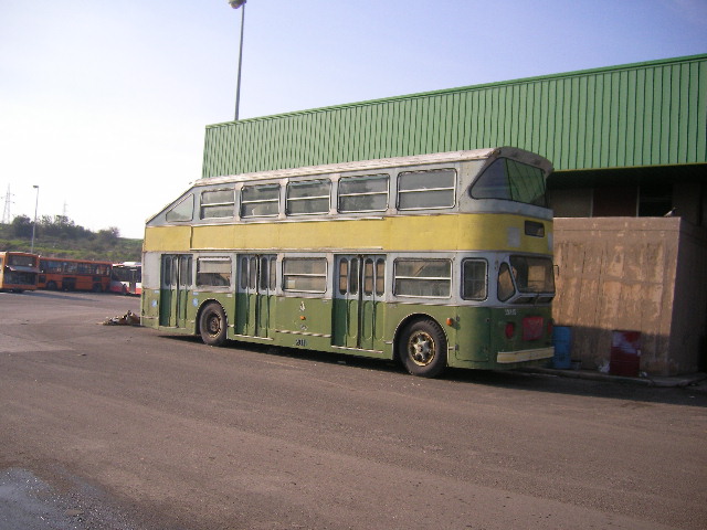 SANY0174.JPG