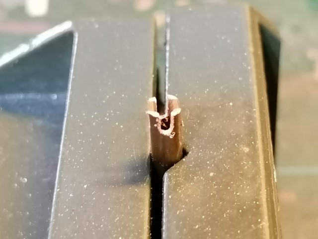 IMG_20200406_115056 (Piccola).jpg