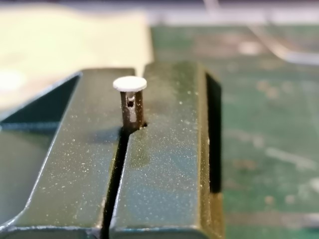 IMG_20200406_115623 (Piccola).jpg