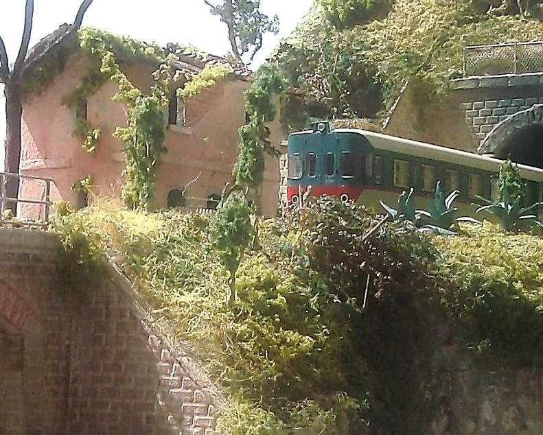 HPIM0345 - Copia - Copia - Copia - Copia - Copia - Copia.JPG