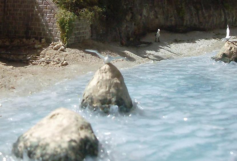 HPIM0345 - Copia - Copia - Copia - Copia.JPG