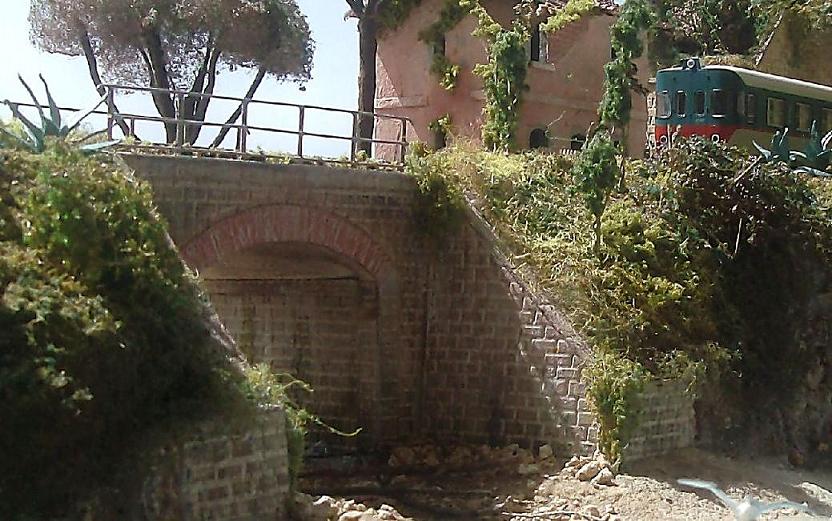 HPIM0345 - Copia.JPG