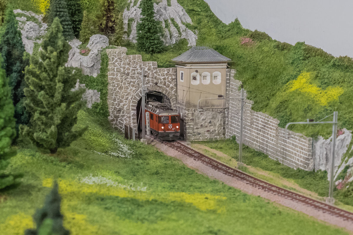 2021 03 27 - Solis-25.jpg