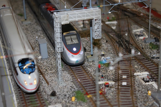 IMG_2697 (Copia).JPG