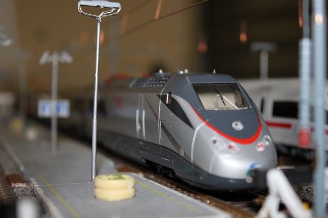 IMG_2703 (Copia).JPG