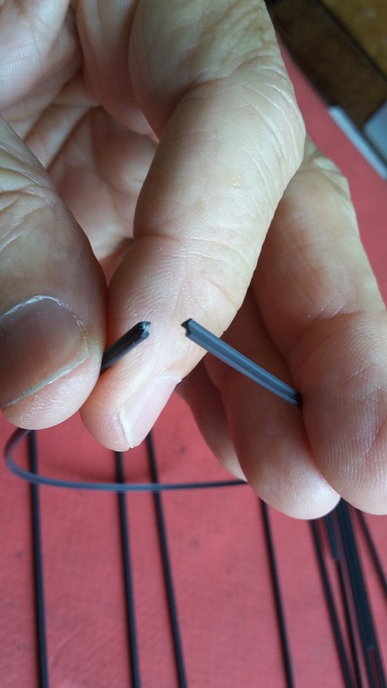 20210617_105535 - Copia.jpg