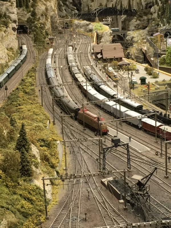 plastico AndreaA.jpg